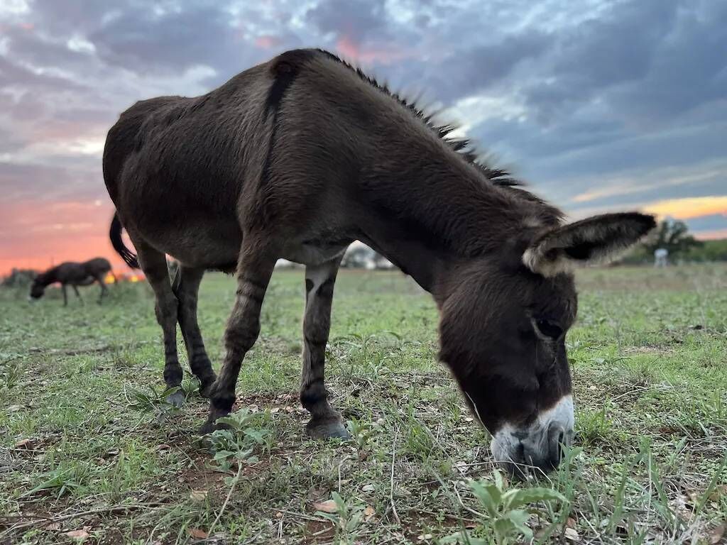 Hickory Ridge Hide Away Cabin- Romantic Getaway, Beautiful Starry Skies, Sunsets