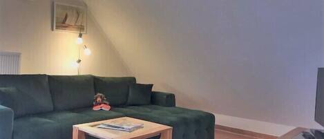 TV, DVD player, video library, stereo