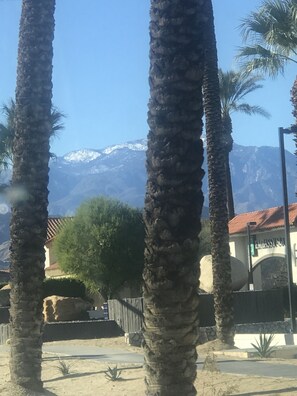 Surrounded by palm trees, this tranquil retreat offers breathtaking views of snow-capped mountains.