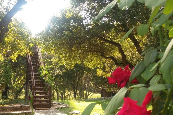 Stairway to the loft. Feel free to pick any flower for you loved one.