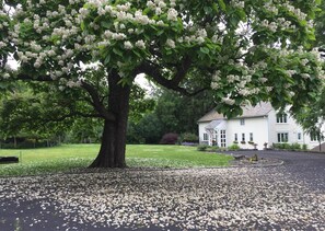 Property grounds - Storm King Lodge - Storm King Art Center, West Point, Woodbury Commons Outlets (Mountainville)