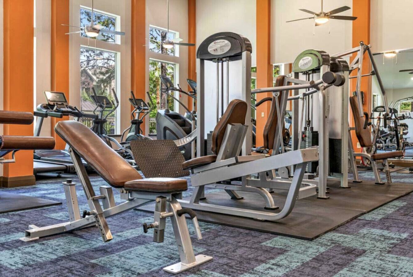 Ein Fitnessstudio mit verschiedenen Trainingsgeräten, darunter Laufbänder und Kraftgeräte, mit großen Fenstern und einem gemusterten Teppich.