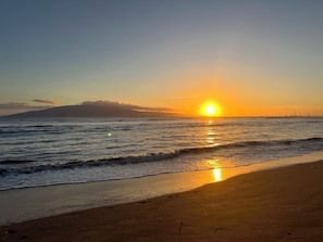 Plage, chaises longues, serviettes de plage