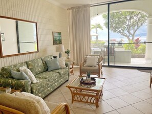 Télévision à écran plat, lecteur de DVD, livres, vidéothèque