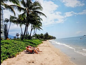 On the beach, sun-loungers, beach towels