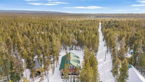 Une cabane entourée d’une forêt dense, sous un ciel dégagé.
