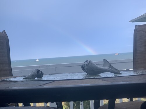 Oceanfront dog friendly beach condo. 910-315-2339