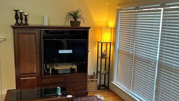 Smart TV, caminetto, impianto stereo