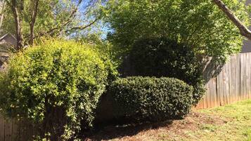 Parco della struttura