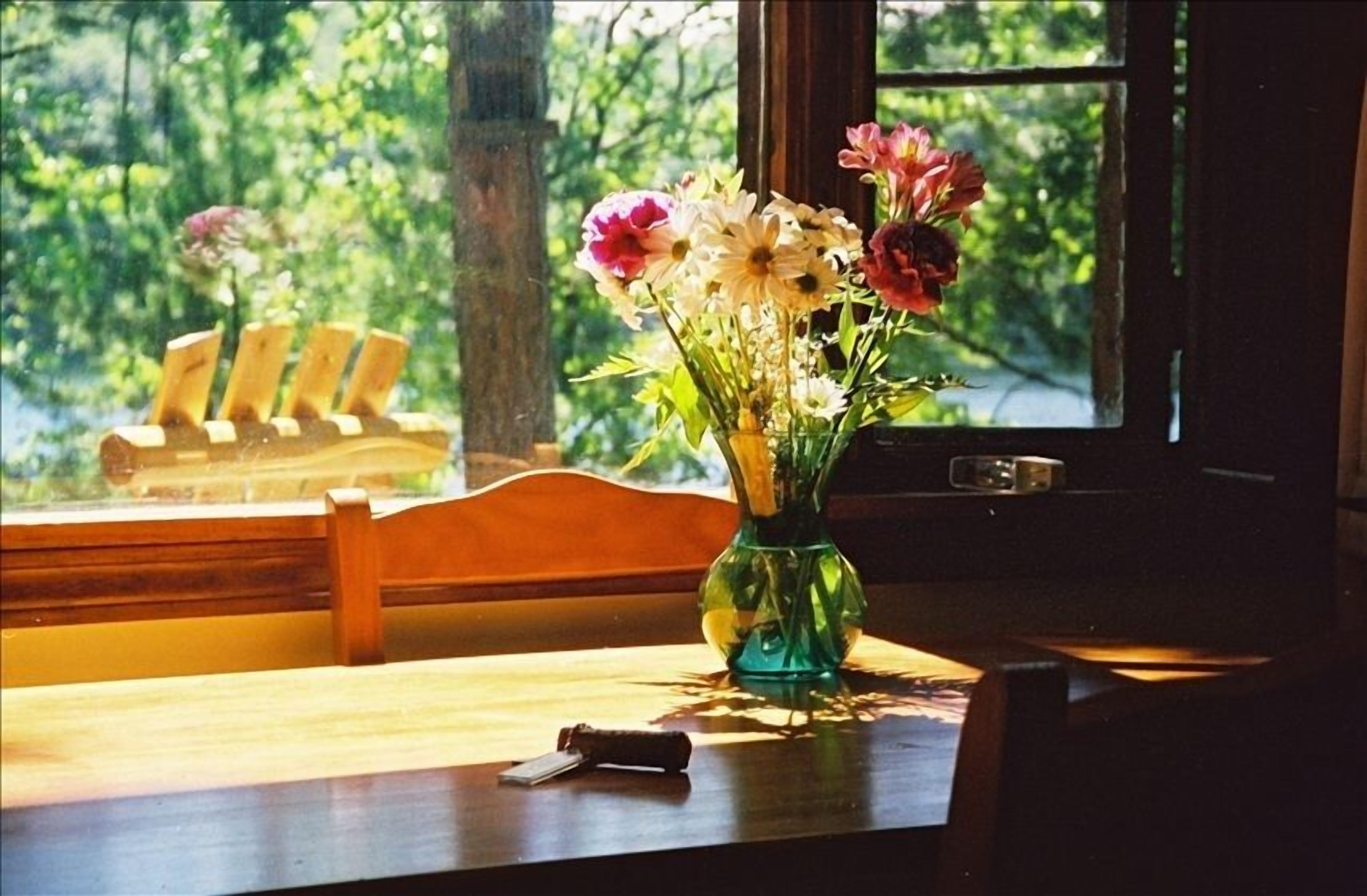 The Cabin on Chandler Lake in Traverse City, Mi