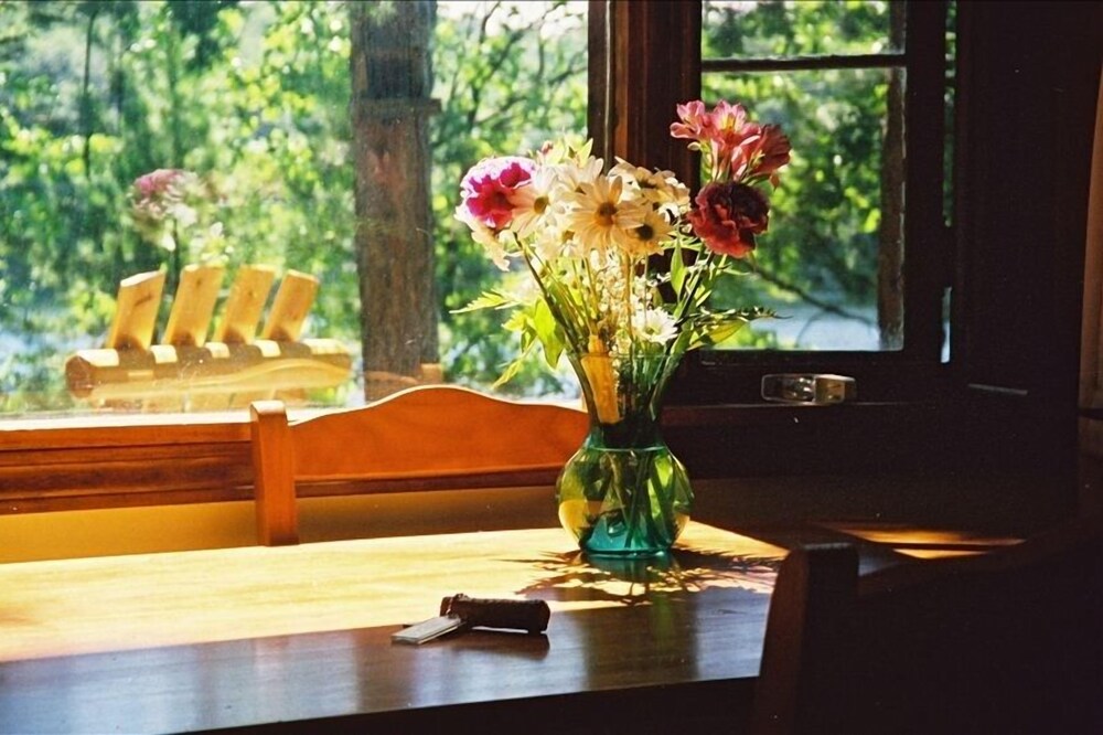 The Cabin on Chandler Lake in Traverse City, Mi