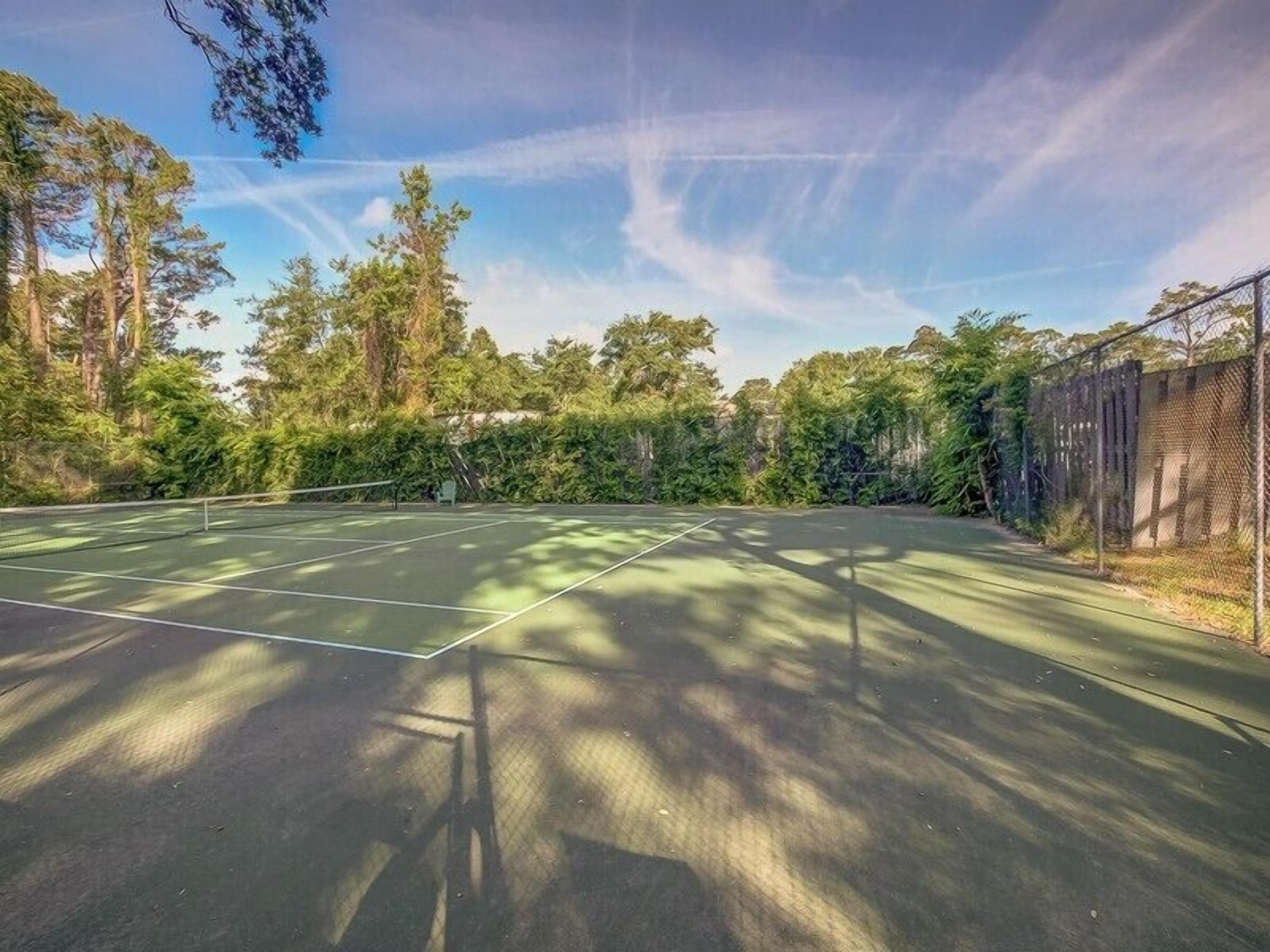 Ein Tennisplatz im Freien, umgeben von dichten Bäumen und einem Maschendrahtzaun.
