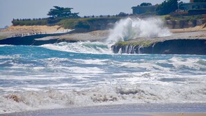 A coastal scene with waves crashing against a rocky shore, a wooden fence, and buildings in the background. - Last Chance! Unexpected opening– Steps to the Beach! Spectacular roof deck (Santa Cruz)