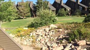 A residential area with modern houses, a well-maintained lawn, and a rocky garden area. - Luxurious and modern townhome with a ton of room! (Park City)