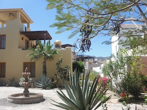 Stroll through a serene courtyard surrounded by lush plants and a traditional stone fountain.