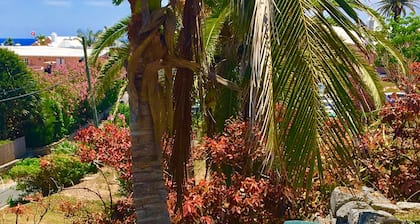 Ein charmantes Bermuda-Juwel 🌸