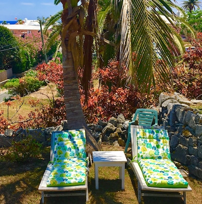 A Charming Bermuda Gem 🌸