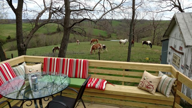 A wooden deck with a glass table and chairs, overlooking a grassy field with horses.