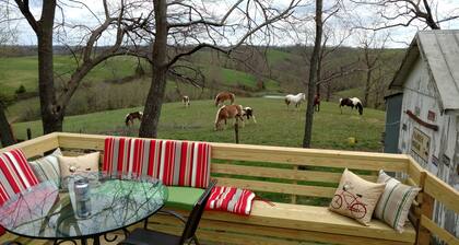 Little White Cottage-Country Setting In Town Just 5 minutes to The Ark Encounter