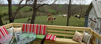 Little White Cottage-Country Setting In Town Just 5 minutes to The Ark Encounter