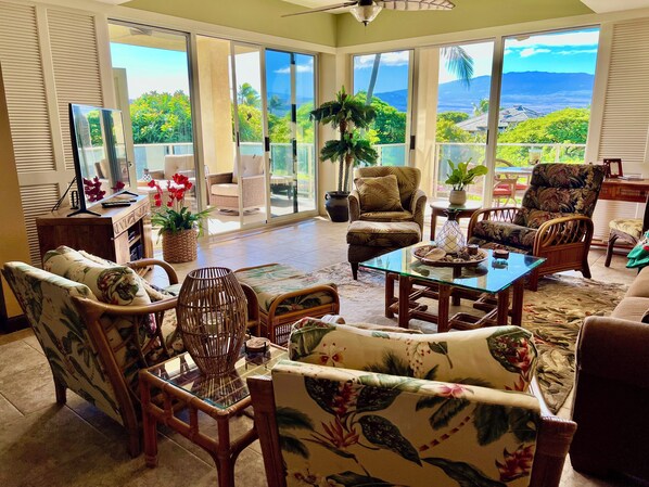 Smart TV, DVD player, books, video library