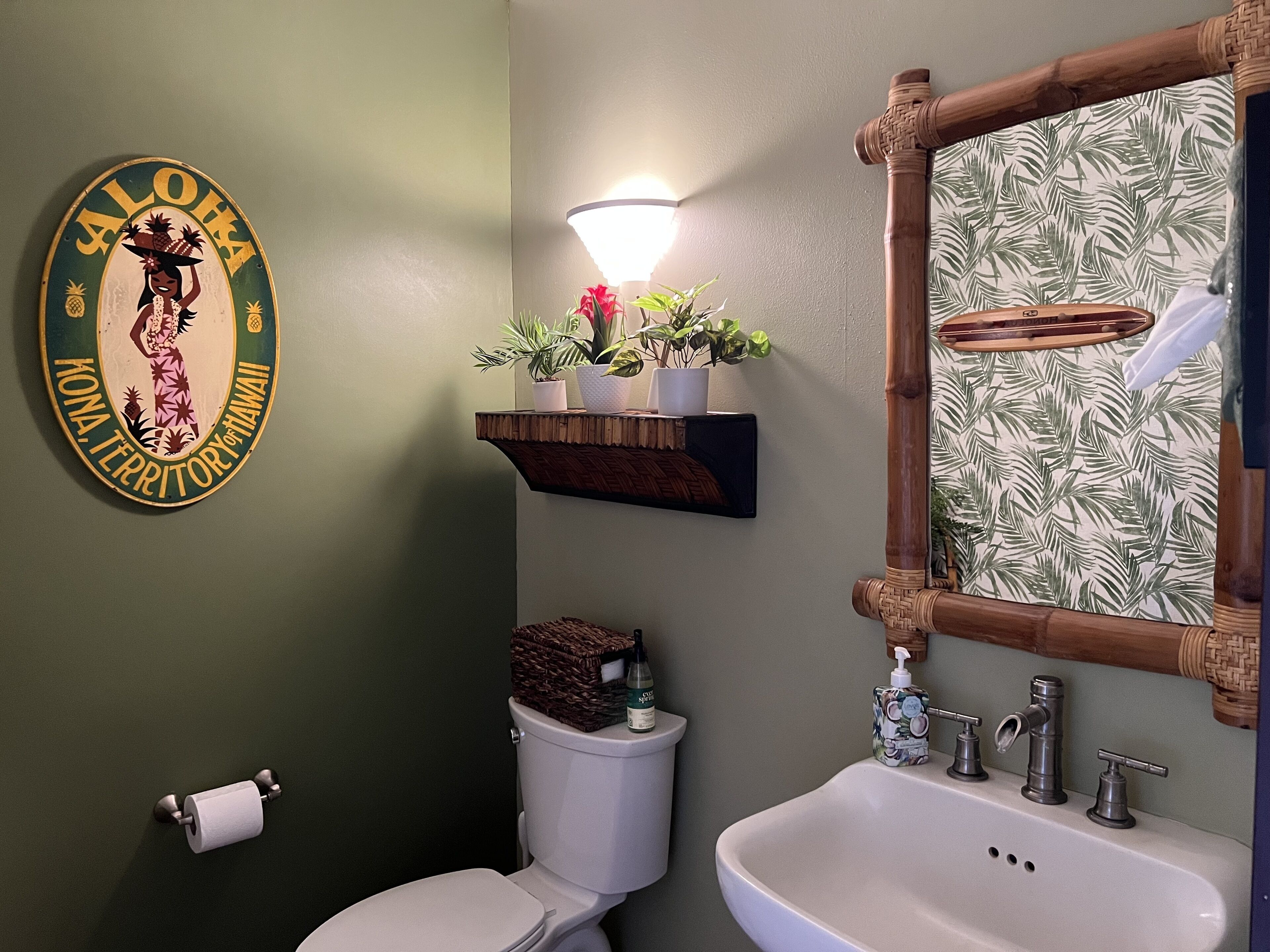 Een badkamer met toilet, wastafel en een wandplank met planten.