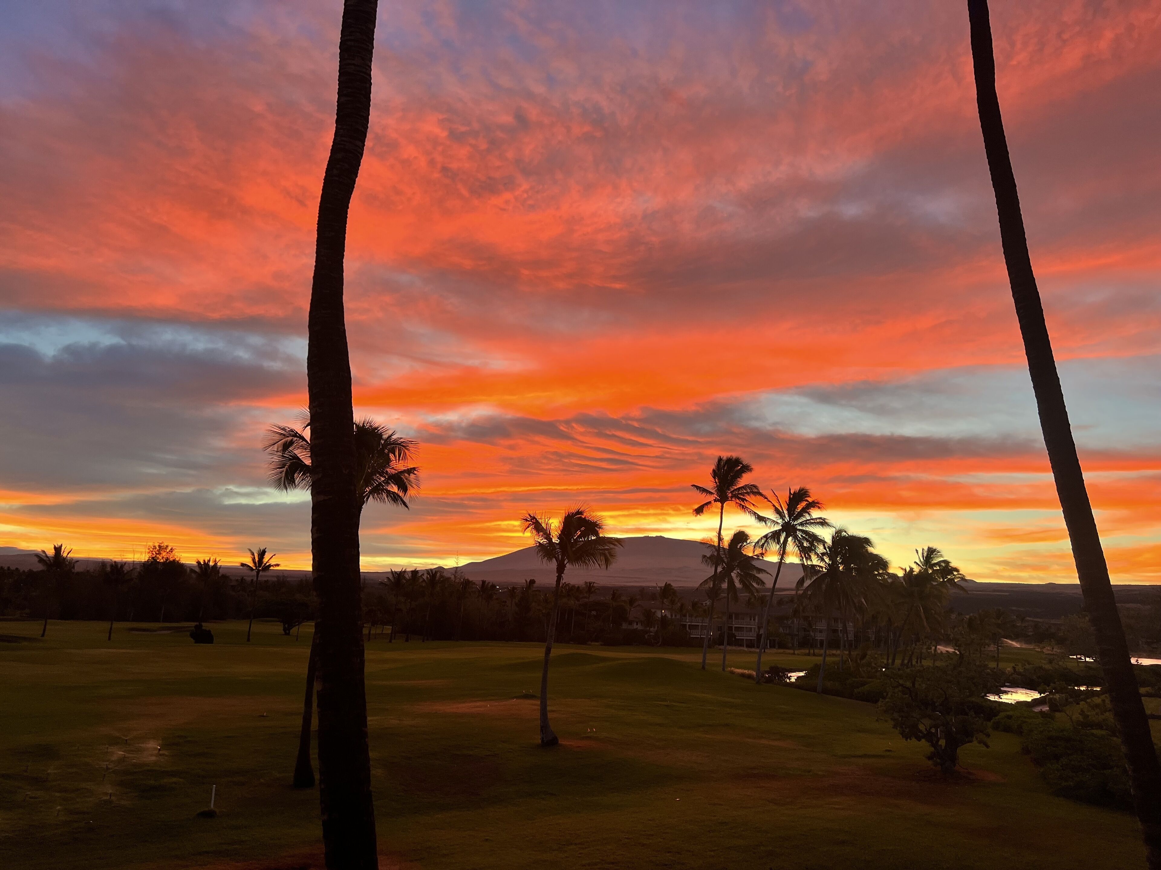 A sunset view with palm trees and a distant mountain.