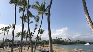 Una playa con palmeras, sillas de descanso y un bote en el agua.