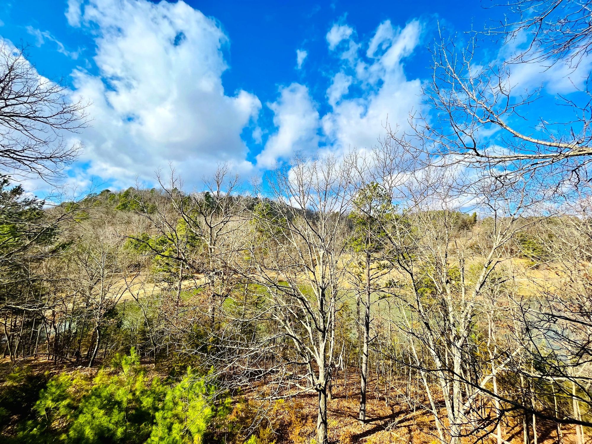 Paisagem natural com árvores e céu limpo.