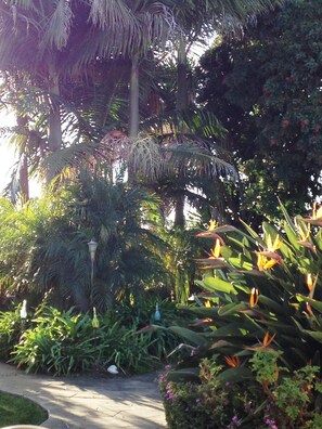 Property grounds