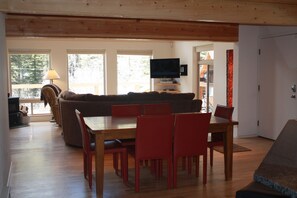 TV, fireplace, books