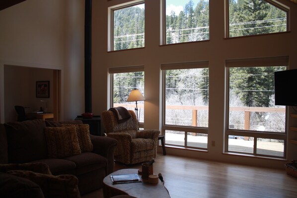 TV, fireplace, books