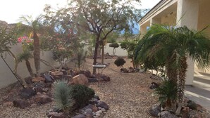 A garden with various plants and rocks, a small table, and a building in the background.