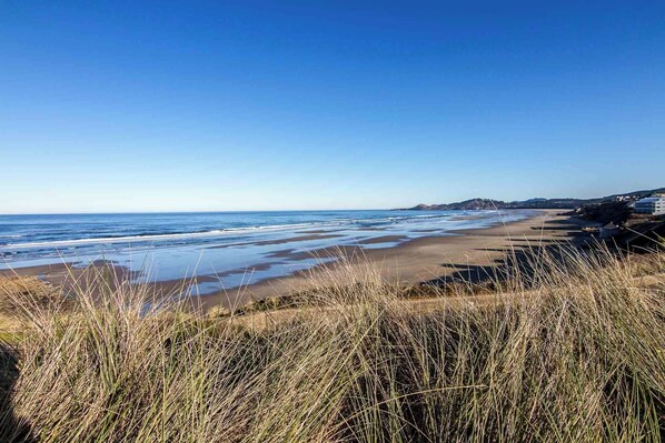 بالقرب من الشاطئ