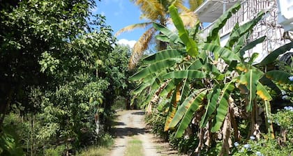 Best-Priced 1BR on Stj! Perfect Location W/ Ocean View & Pool!