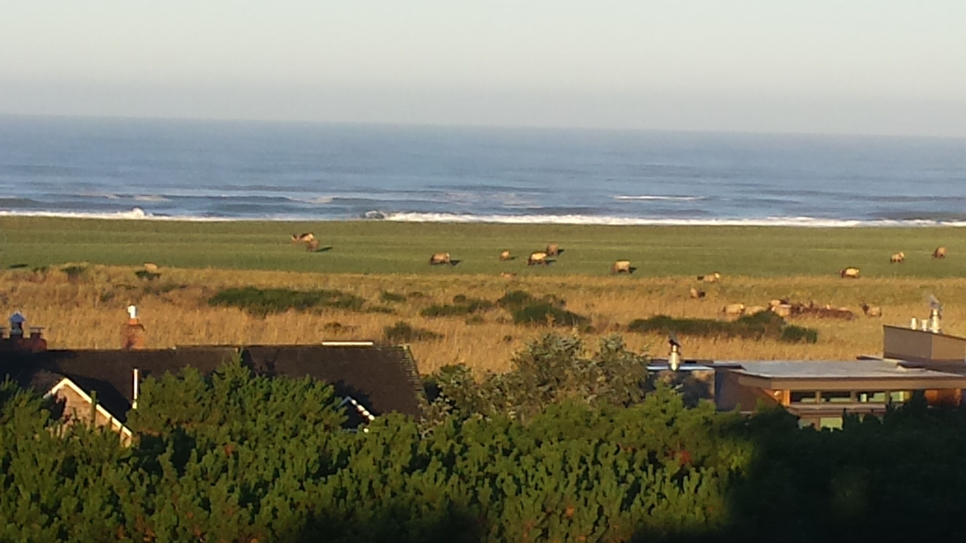 #Stunning Ocean Views from Gearhart Home in the Highlands, 4 bedrooms, 3.5 baths