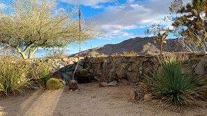 Un jardín desértico con un muro de piedra, diversos cactus y una montaña al fondo.