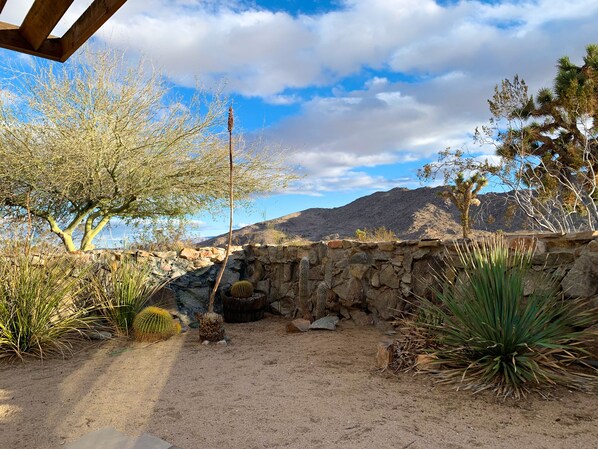 A desert garden with a stone wall, various cacti, and a mountain in the background.
