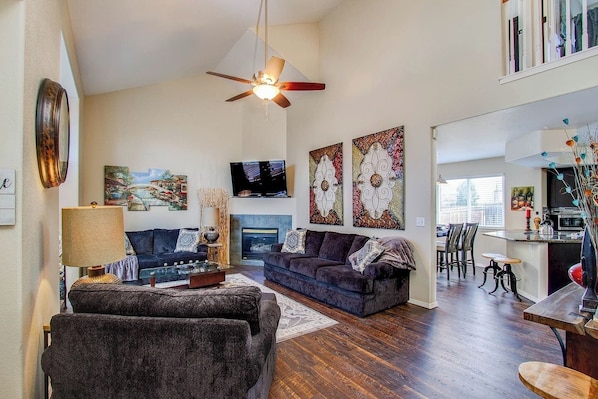 Smart TV, fireplace, books, music library