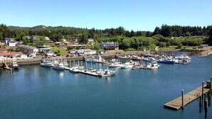 A marina with multiple boats docked, surrounded by residential buildings and a forested hillside.