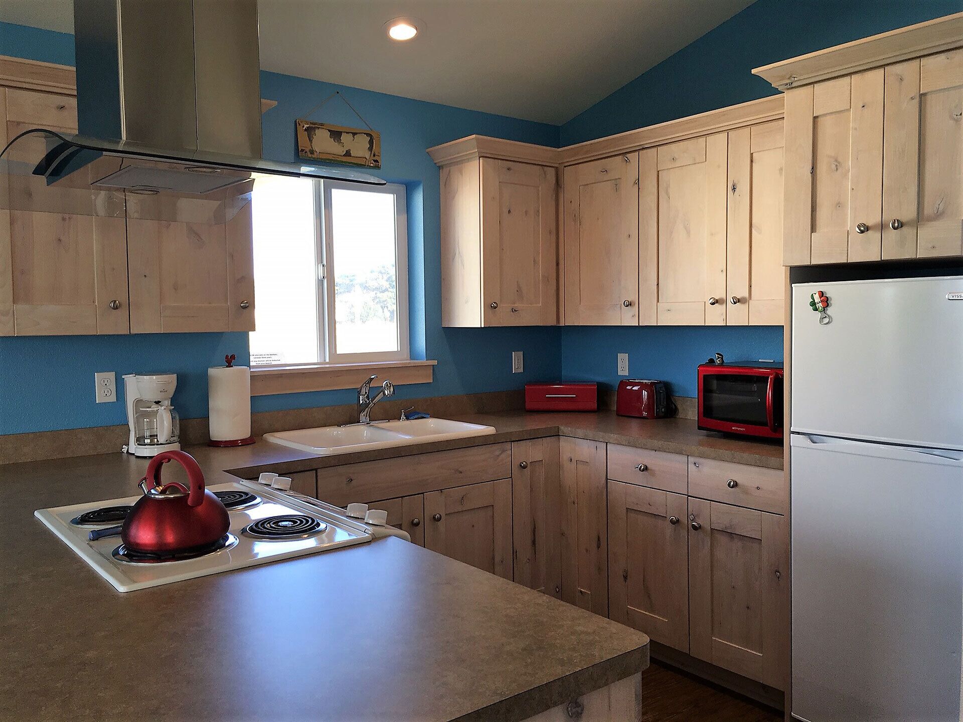 Sunnier times at Wheelhouse! Oceanview, fenced yard. Dogs bring your people!