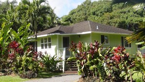 Una casa verde con un porche, rodeada de plantas tropicales.