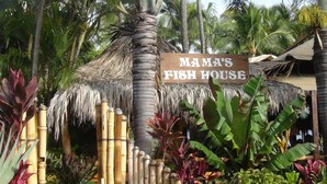 Un letrero que dice 'Mama's Fish House' en un entorno tropical con palmeras y vallas de bambú.