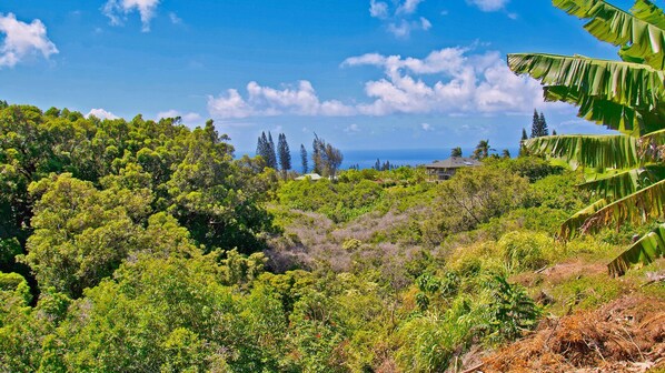 A lush, green landscape with dense foliage and a clear view of the ocean in the background.