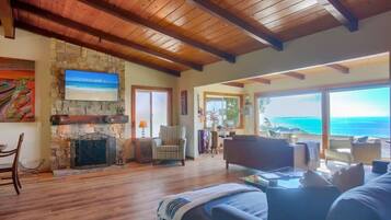 Smart TV, fireplace, books