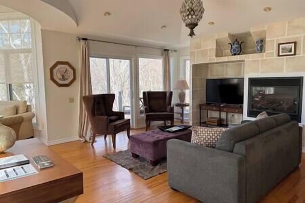 TV, fireplace, books