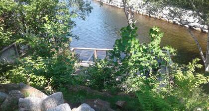 Oceanfront Boutique Style - 10 minutes To Downtown