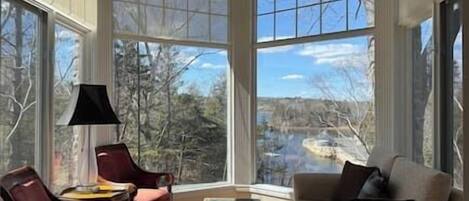 TV, fireplace, books