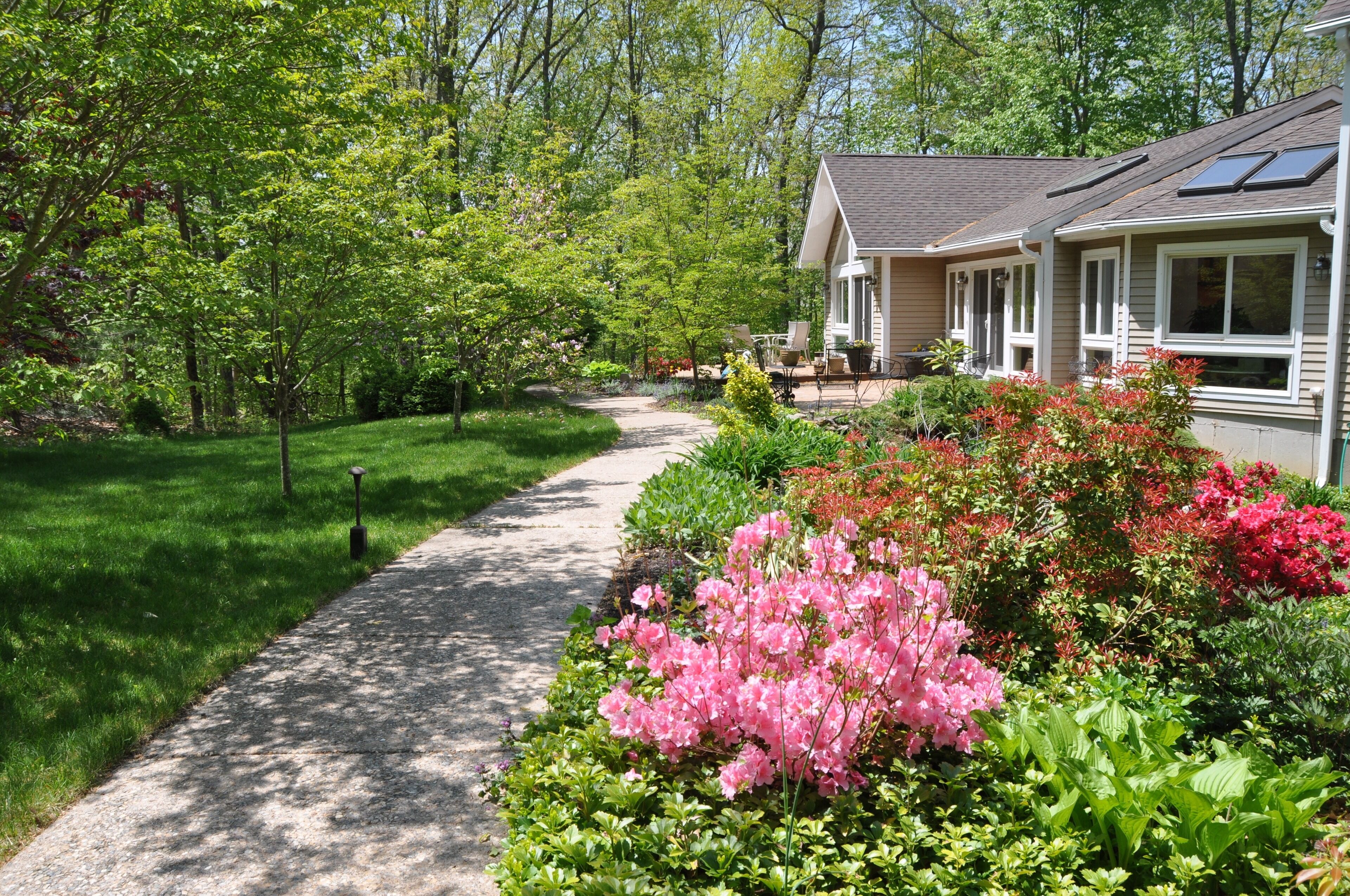 Pathway leading to Birdsong- spring