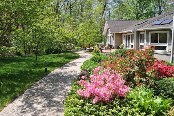 Pathway leading to Birdsong- spring